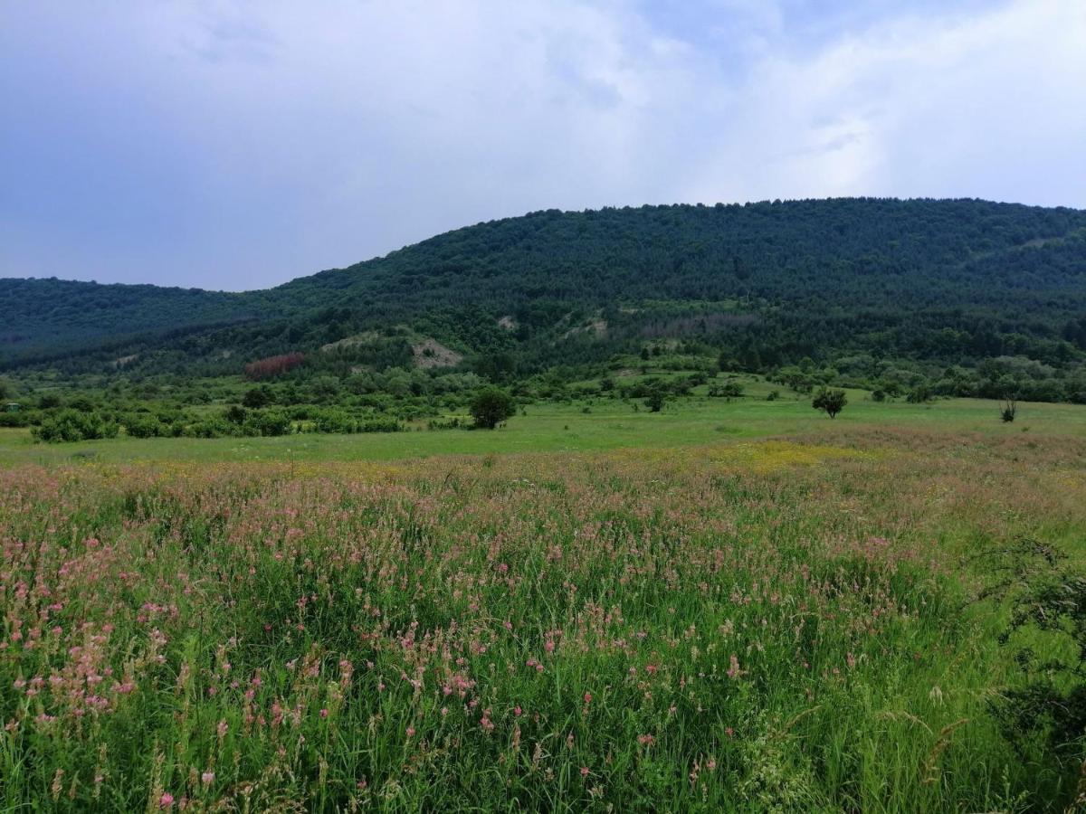 Вілла Etno Kuca Nikolov Димитровґрад Екстер'єр фото